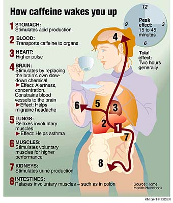 how caffeine wakes you up